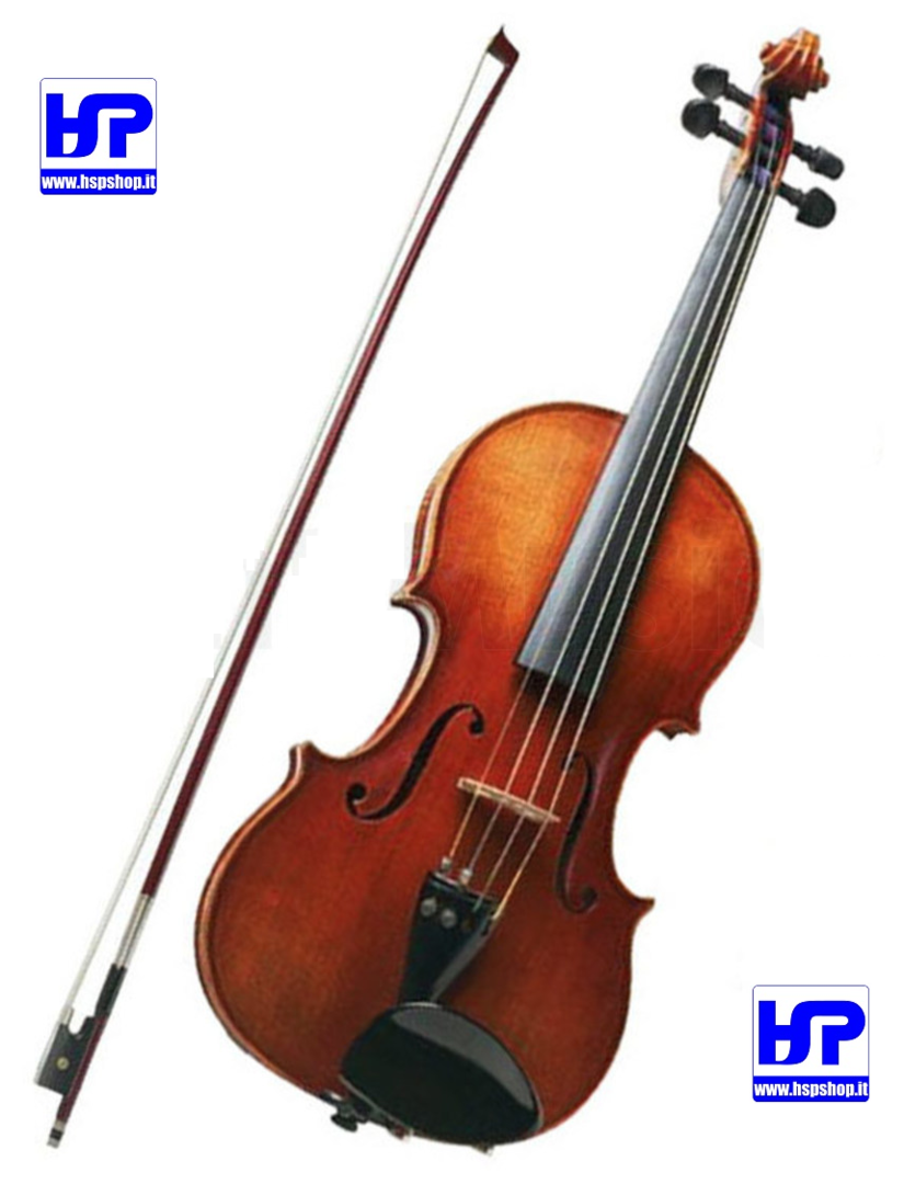 "STUDENT" SERIES VIOLIN 4/4 WITH CASE